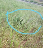 167695646_10158380749837151_8853987813845518436_n