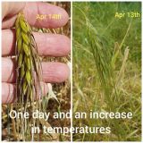 173580450_10158409946647151_4702752605524642828_n