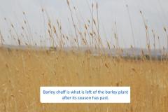 18301595_10154599127682151_1720010050414848843_n-1