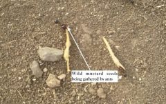 20170523_073759-1-e1498652096429