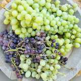 203100624_10158559921032151_896984974661748809_n