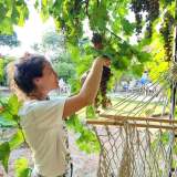 203754934_10158559920802151_7758794079734466206_n