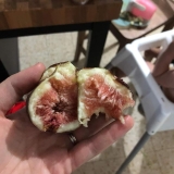 208463844_10158572461837151_8205817997154230099_n-1