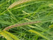 90627809_10157313629997151_1654067084797149184_n