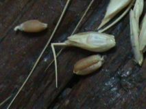 DSC00748-e1498653648145