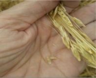 Screen-Shot-2017-06-06-at-20.16.38-e1496769944764