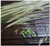 Screen-Shot-2017-06-07-at-18.42.30-e1496850418517