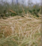 Screen-Shot-2018-06-09-at-13.05.49-2-1