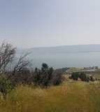 treasure-trove-of-wheat