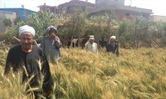 331876064_898654131395275_6508838489692867783_n