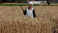 333015400_885128259429877_2275849910339298618_n